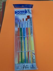 Doms Colourmate Round Brushes Set Of 5