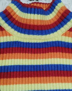 Rainbow Striped Cropped Turtleneck Sweater.