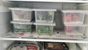 Fridge Storage Boxes pack of 6 Box