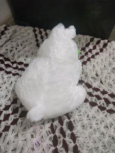 Carrot Eating Rabbit Very Soft Teddy For Child