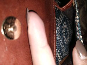 The Clownfish Handbag