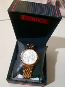 Titan Gold Dial Watch