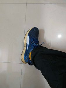 Puma Speed Orbiter Running Shoes with Pro plate