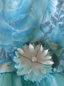 4-6 yrs Beautiful Blue Party wear girls frock