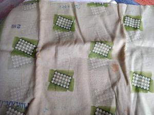 Elegant Cream &amp; Green Saree