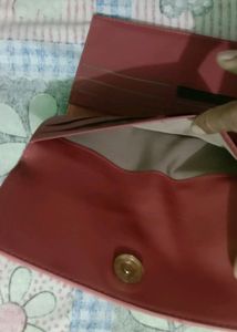 Baggit Brand Clutch