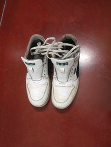 PUMA SkateCat Drift Sneakers (White-Malachite) – M