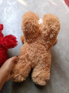 Stuffed Animal Duo