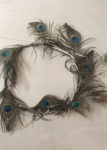 Because Feather Decorative Item