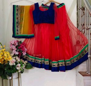 Red Net Lehenga Choli with Blue Blouse