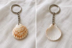 Seashell Keychain