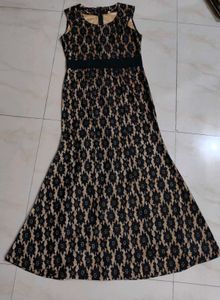 Elegant Lace Dress