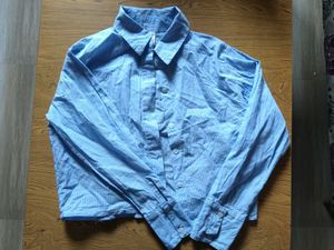 Blue Striped Button-Up Shirt (slightly cropped)