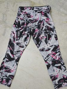 gym pant