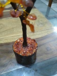 Carnelian Gemstone 100 Chips Tree For Positivity