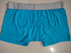 CK Blue Boxers
