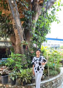 Cow Print Bonkers corner Graphic Tee