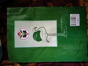 Ncert English( Flamingo) Class 12 Reader Book