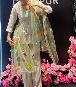 Beautiful Butterfly Embellished Dupatta