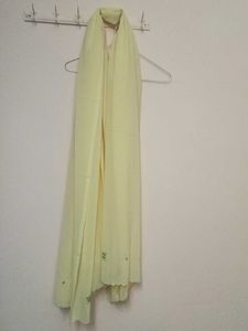 Light Yellow Embroidered Dupatta