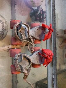 Vintage Roller Skates