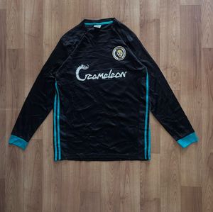 Chameleon Long Sleeve Graphic Tee⭐⭐