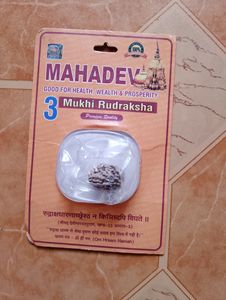 Rudraksha 3 Mukhi Original Lab Taste