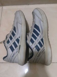 Campus Casual Shoes