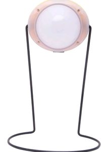 Sunking  Solar Emargency Light