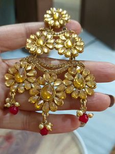 Exquisite Gold-Toned Ethnic earrings