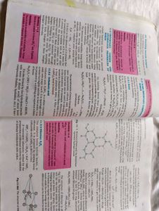 class 11 all NCERT books for science