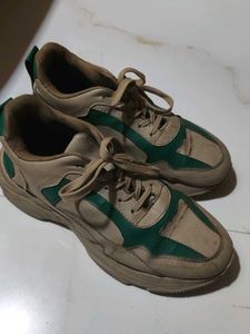 Casual Beige &amp; Green Sneakers SALE