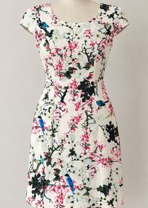 Floral Bird Print Dress