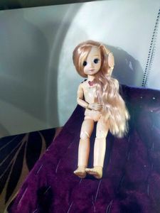 Collectible korean fashion doll.