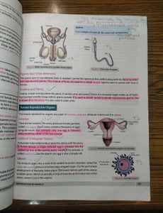 CBSE Class 8th Interactive Science Textbook