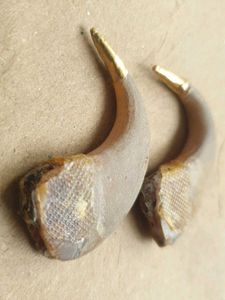 original sher k nail with gold dip 100%pure