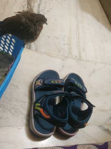 Comfortable Blue Kids Sandals size 1