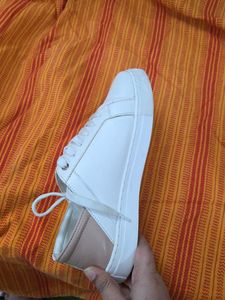 Stylish White &amp; Tan Sneakers