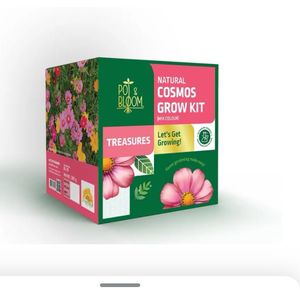 Cosmos Grow Kit