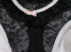 blush Lace panty