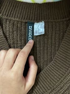 H&amp;M Sweater Vest