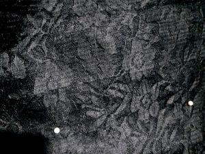 Black Net Saree