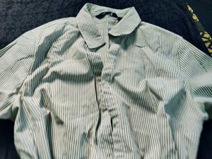 striped fitted shirt