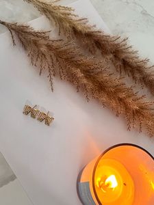 Cute Bow Stud Earrings
