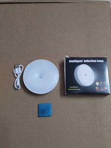 Intelligent Induction Lamp
