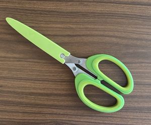 Herb Scissors