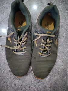 Sparx Men's Green Running Shoes