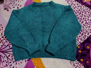 Sparkly Knit Sweater