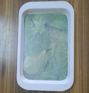 Melamine  Plastic unbreakable  tray