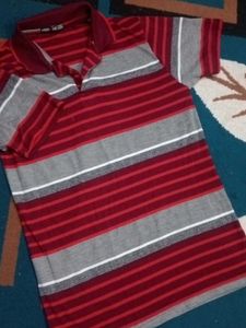 Striped Polo T-Shirt